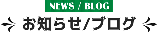 お知らせ/ブログ